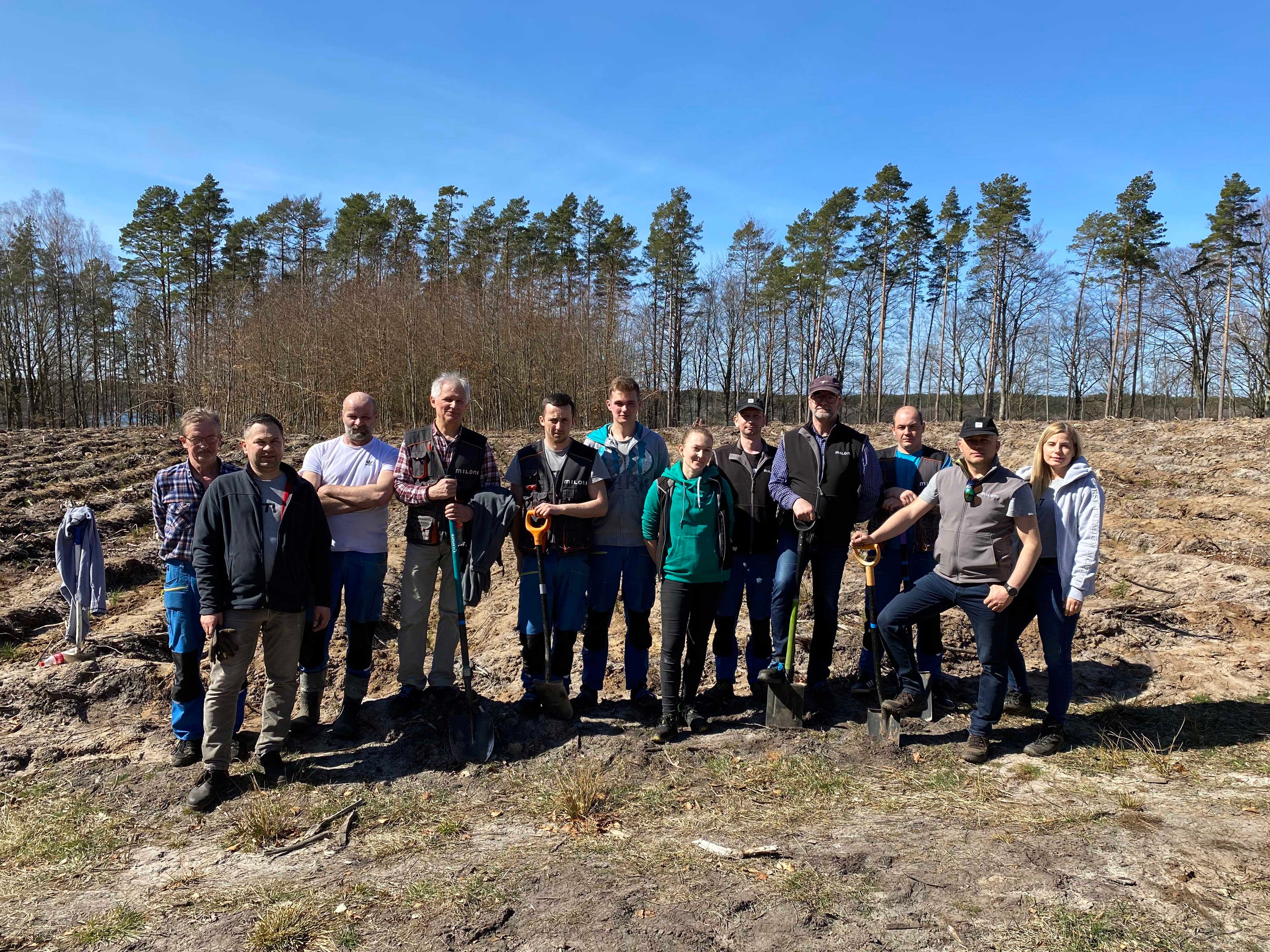 Sadzenie lasu i certyfikat FSC